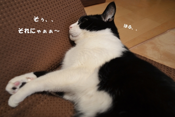 6a81ddd4.jpg