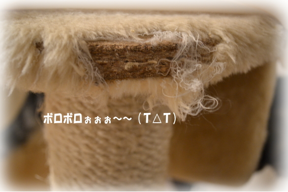 6e83927f.jpg