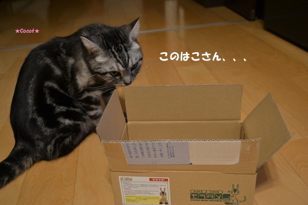 704a4a72.jpg