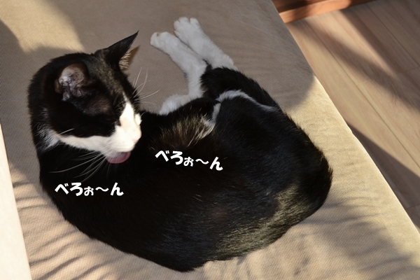 7153f832.jpg