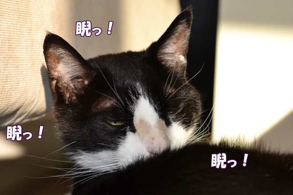719a073a.jpg
