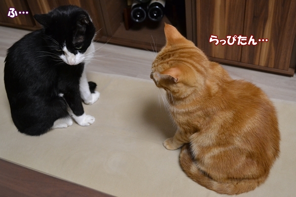 7a7501f1.jpg