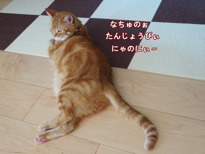 35