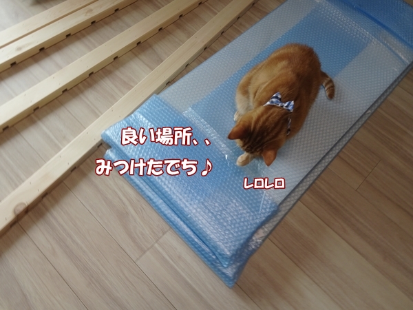 86b9f67c.jpg