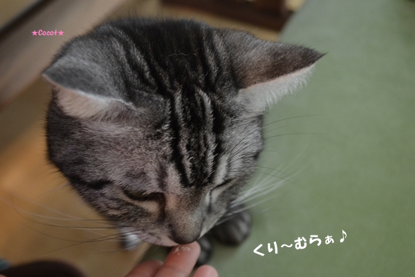 95c0d863.jpg