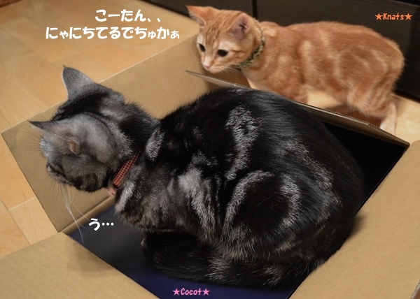 9a6f9649.jpg
