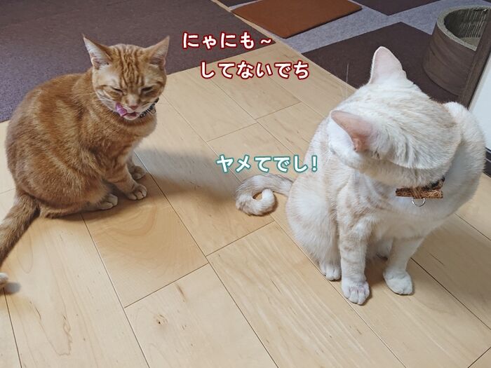 75