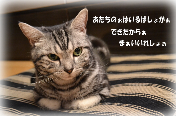 a274c8c9.jpg