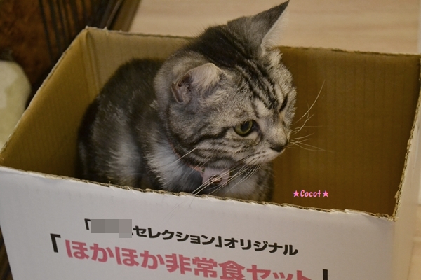 a2e4ef22.jpg