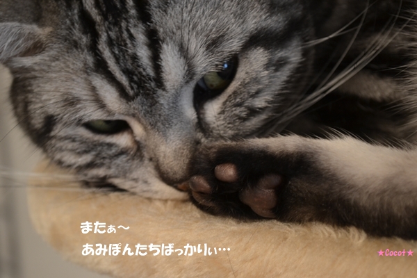 a515984a.jpg