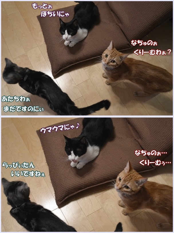a54054f7.jpg