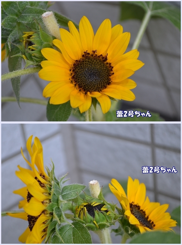 a5a4467c.jpg