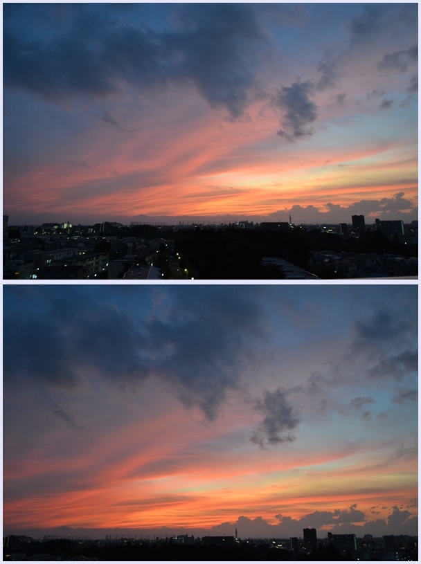 b47d4459.jpg