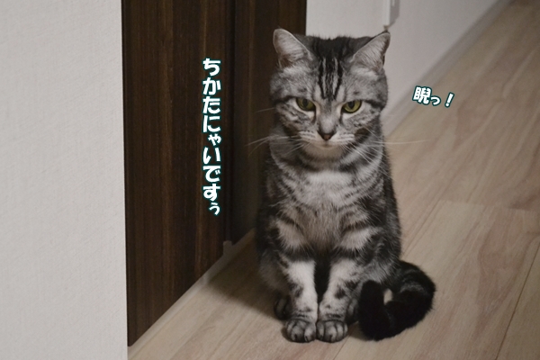 c5328322.jpg