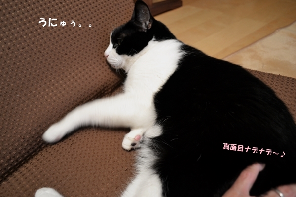 c660a8f4.jpg