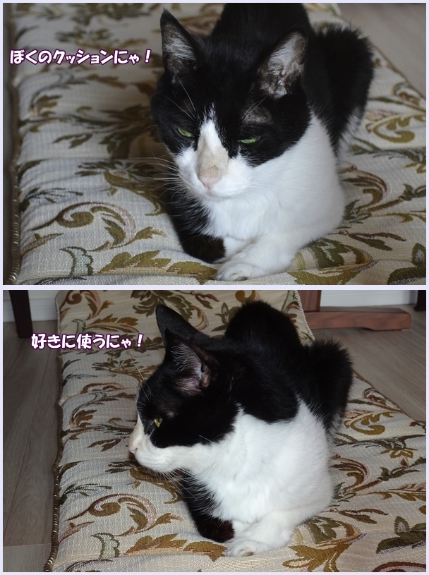 c81f53cc.jpg