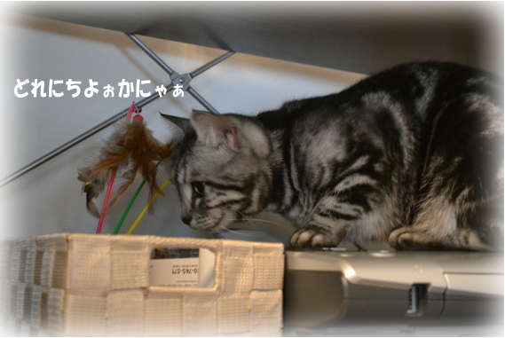 c8a890f6.jpg