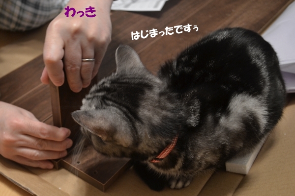 c9647e2b.jpg