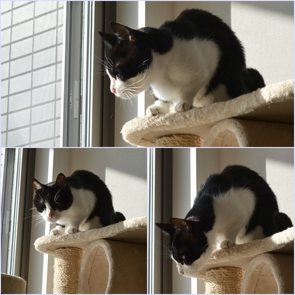 c9a5544c.jpg