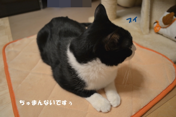 c9e81419.jpg