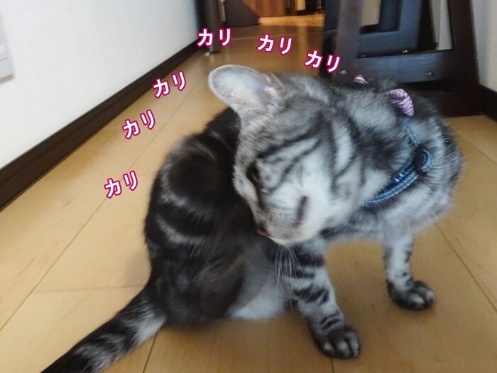 87