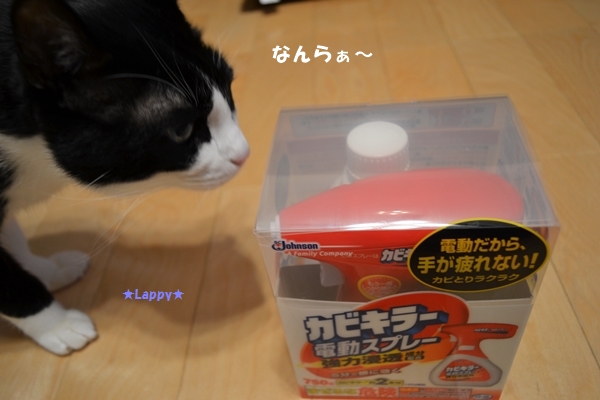 d146081f.jpg