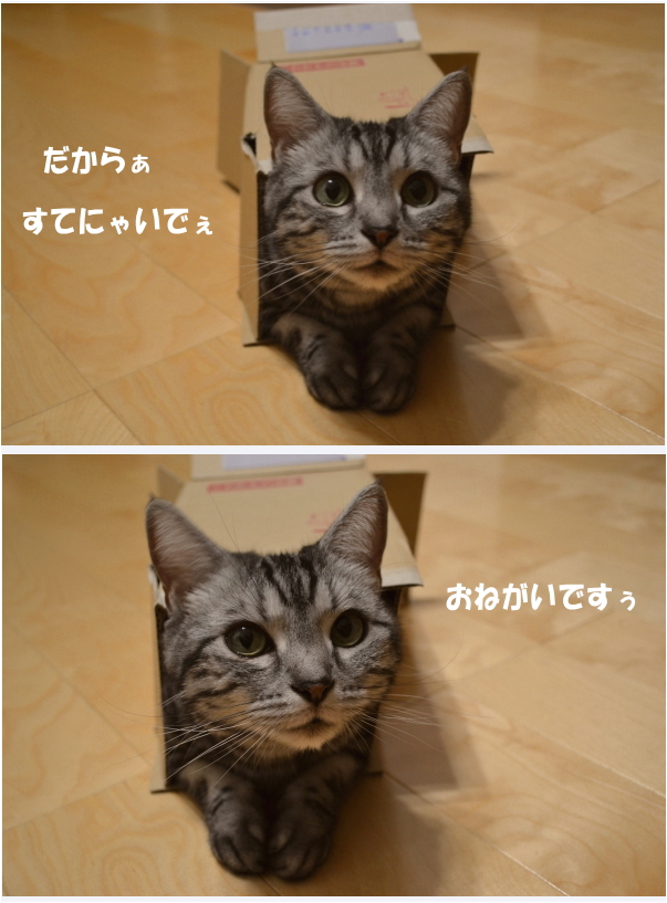 d2cbf3ca.jpg