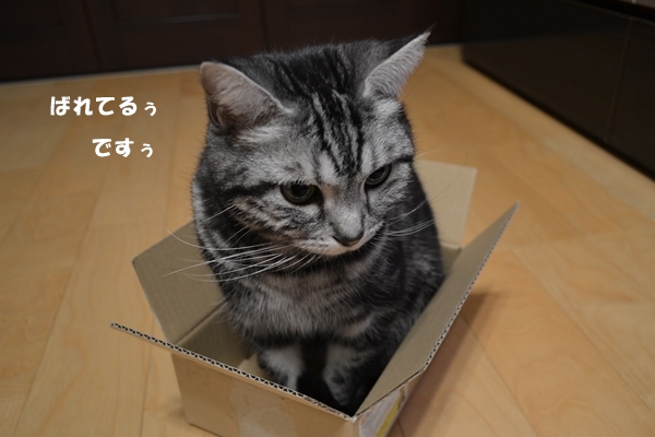 d7b5386b.jpg