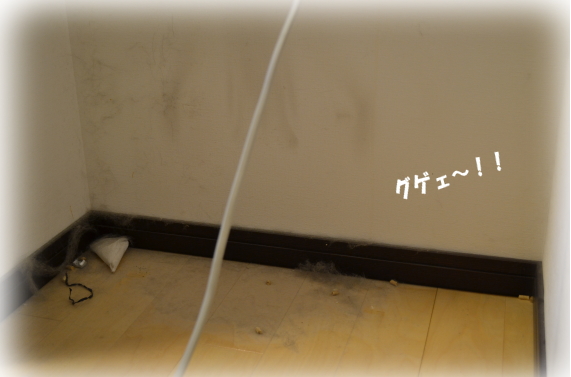 d7e083e1.jpg