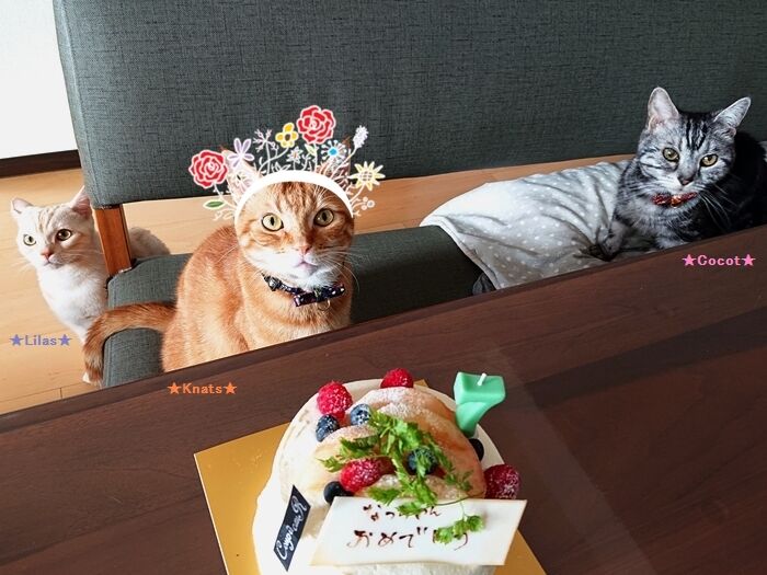 188