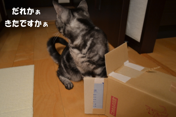f056569a.jpg