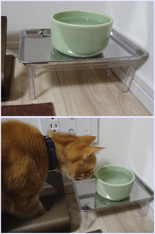 fa42f7f1.jpg