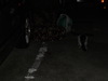 TNR