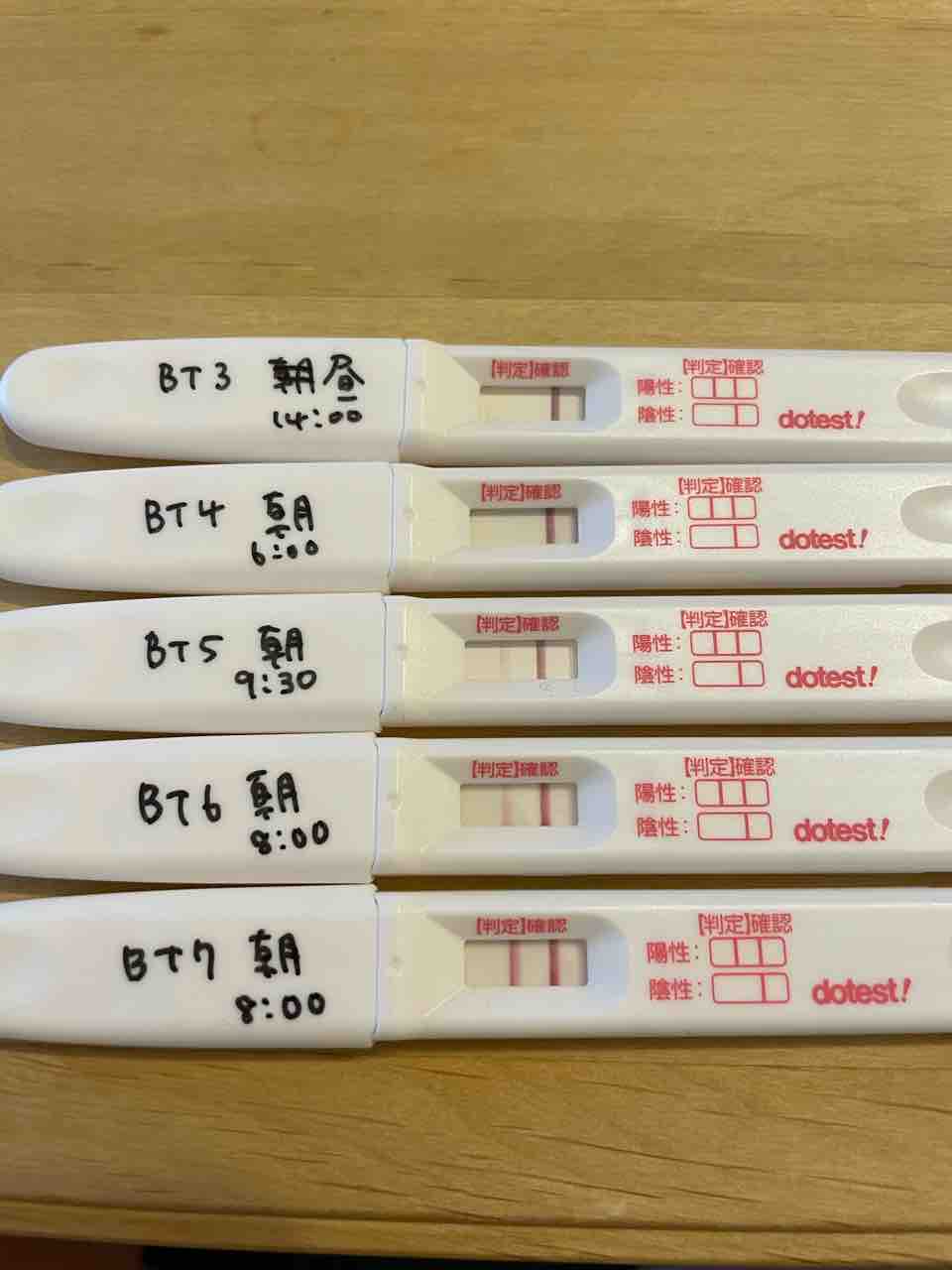 移植3回目 Bt3 Bt7 フライング 画像あり まいにちのこと