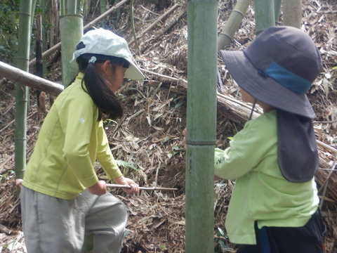 DSCN0148