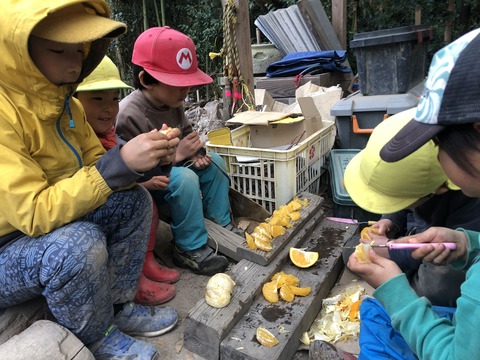 9C80CB07-57EF-4576-8681-70C58D476317