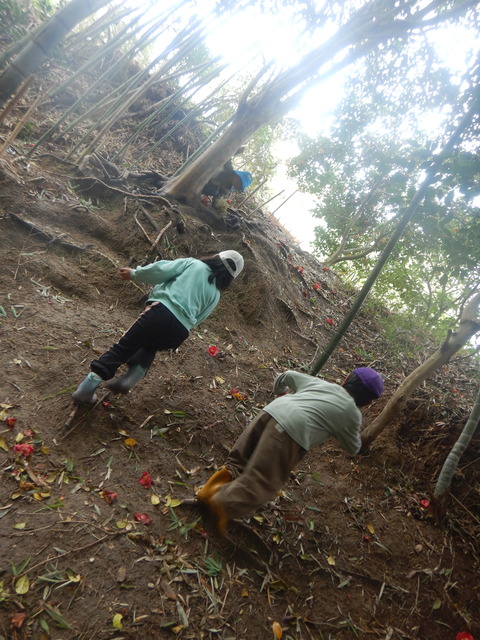 DSCN1973