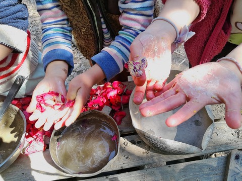 1773315671___3577110_C0520158