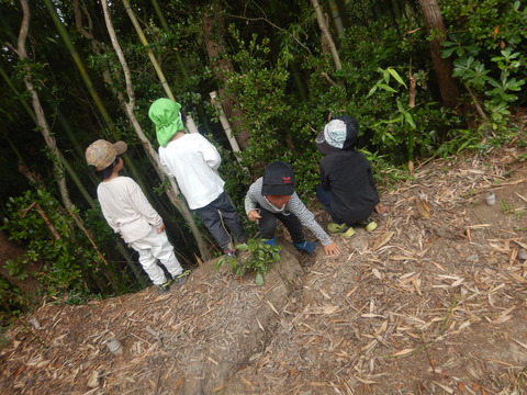 DSCN2469
