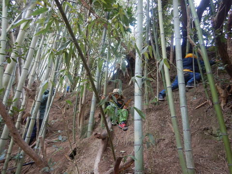 DSCN0254