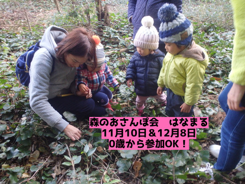 11，12月はなまる