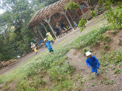 DSCN2535