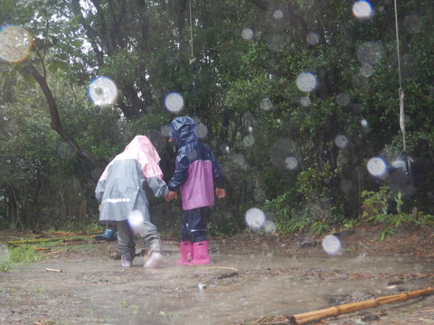 DSCN0036
