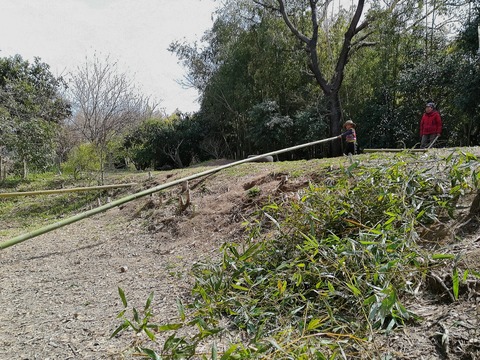 1772710163___6114035_C0380115