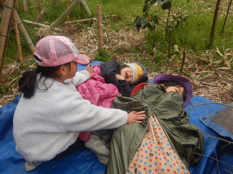 537E1738-F6A0-4394-899B-D46CF72DD904