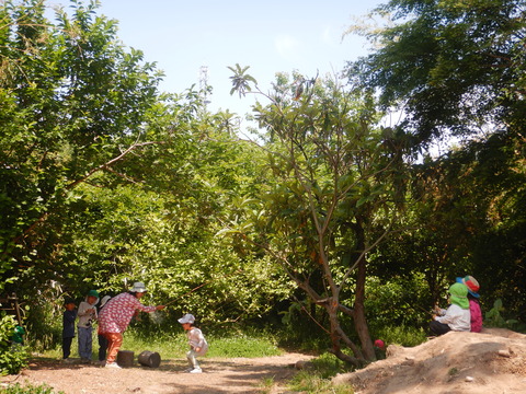 DSCN7596