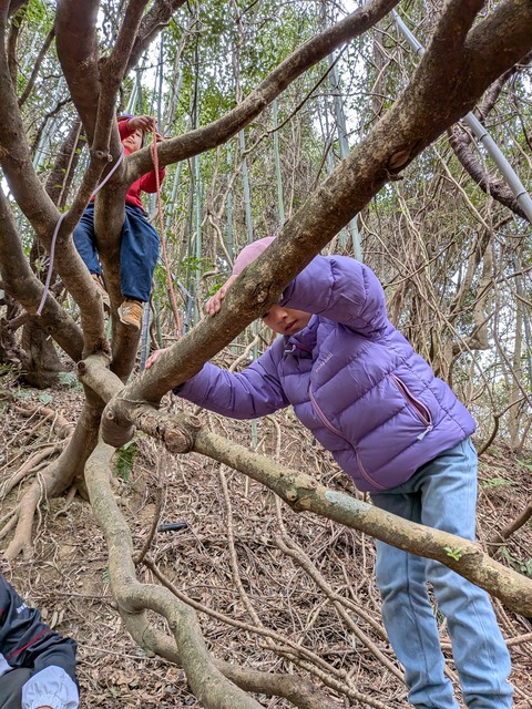 PXL_20260306_023532629