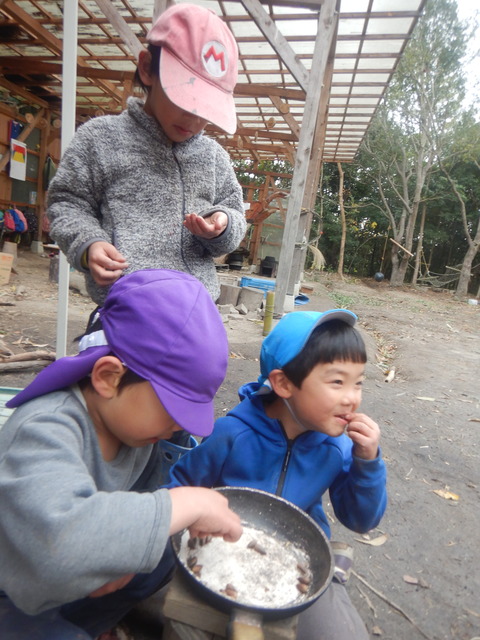 DSCN8061
