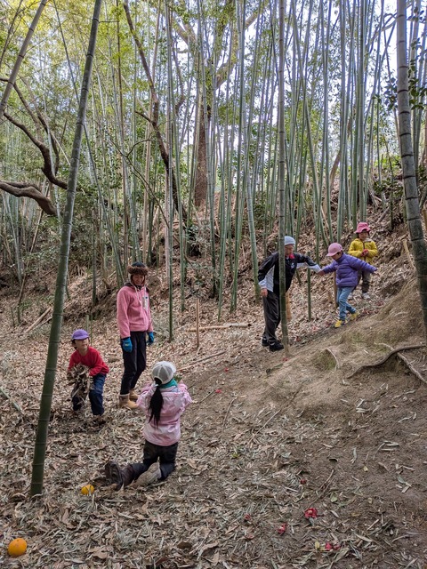 PXL_20260306_020729024