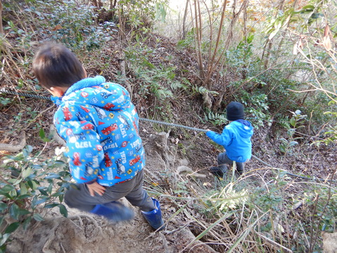 DSCN4262